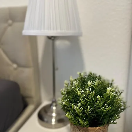 Modernes In Zentrale Lage Von Mannheim